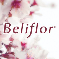 法国宝藏品牌Beliflor独家85折但不止植物染发剂！王牌有机祛鸡皮膏，源自古埃及，天然蜂蜜成分全身可用！