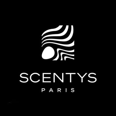 9项专利加身的法国专业香氛公司scentys /森缇斯 车载扩香珠💕用固体留住香气
