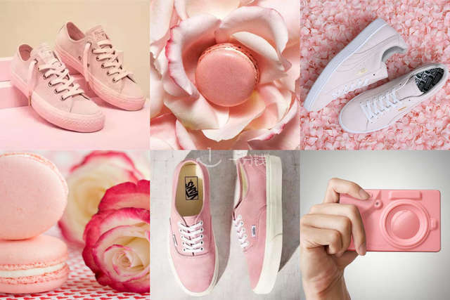 PUMA粉色，VANS粉色，马卡龙帆布鞋