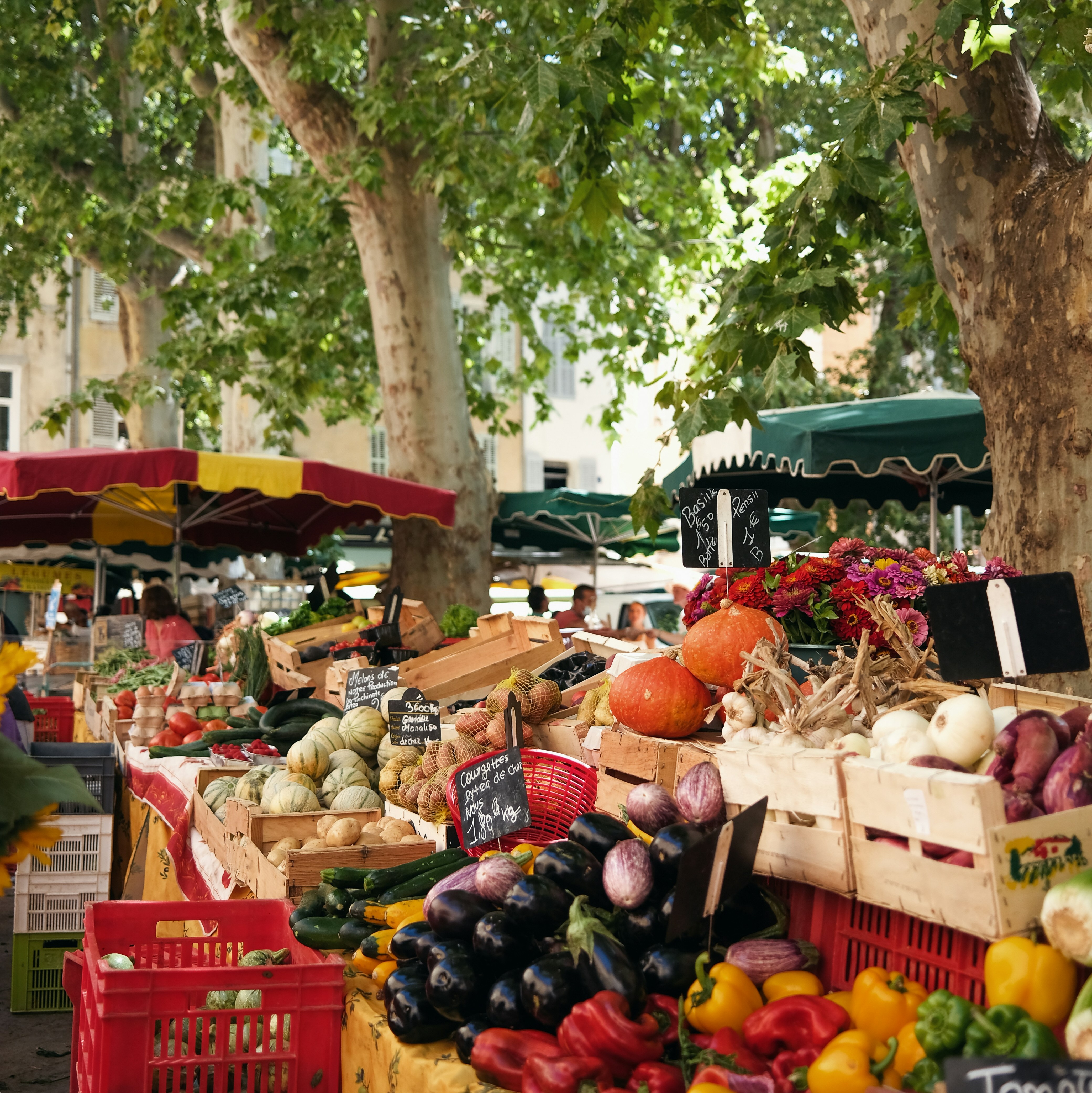 Ökomarkt Kollwitzplatz 市集实景