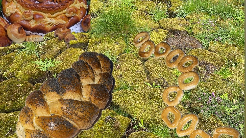 ULGA WORKSHOPS 活动现场