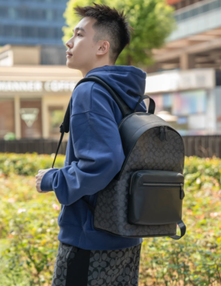 West 双肩包 帆布棕色