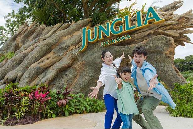 Junglia Tree