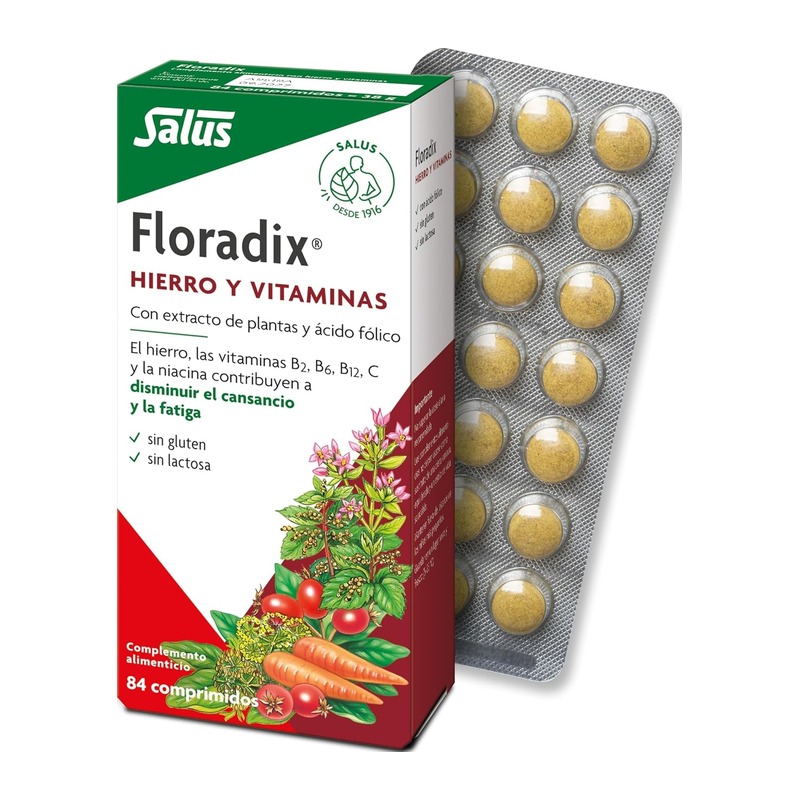 Salus Floradix铁+植物提取+叶酸片 84片