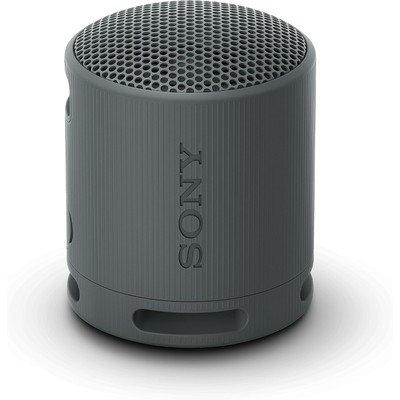 Sony SRS-XB100 蓝牙音箱