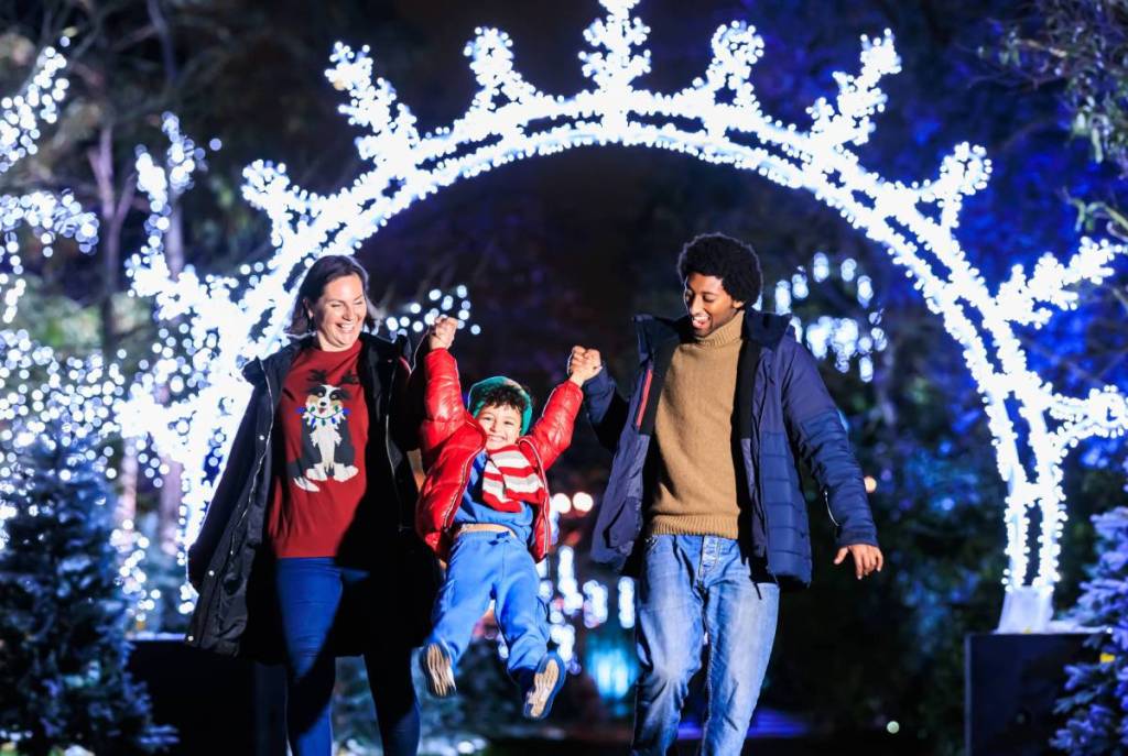 Christmas at Kew Drift