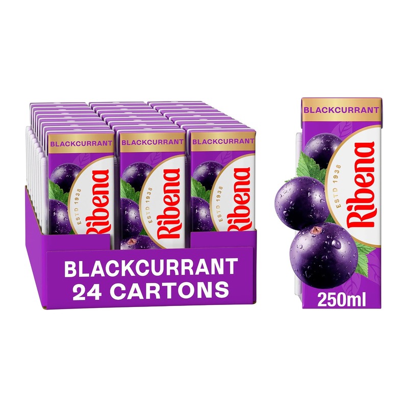 利宾纳 Ribena 黑加仑果汁饮料 250ml×24盒