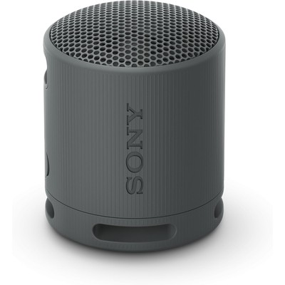 Sony SRS-XB100 便携蓝牙音箱