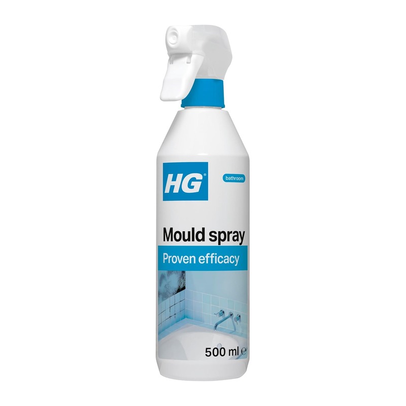 HG 除霉喷雾 Mould Remover 500ml