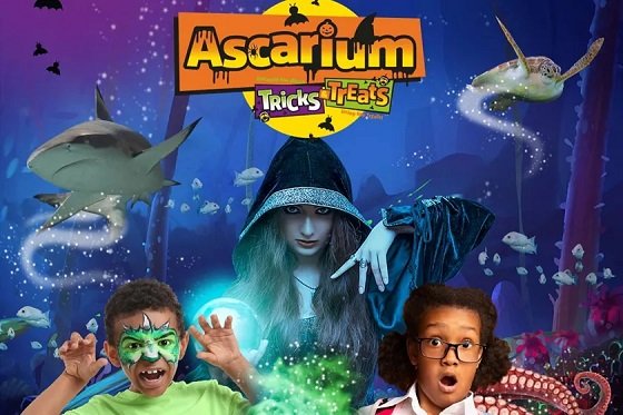 SEA LIFE London｜Tricks & Treats