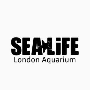 🐬约会出片好地方！伦敦水族馆订票仅£28！和海洋生物亲密互动！