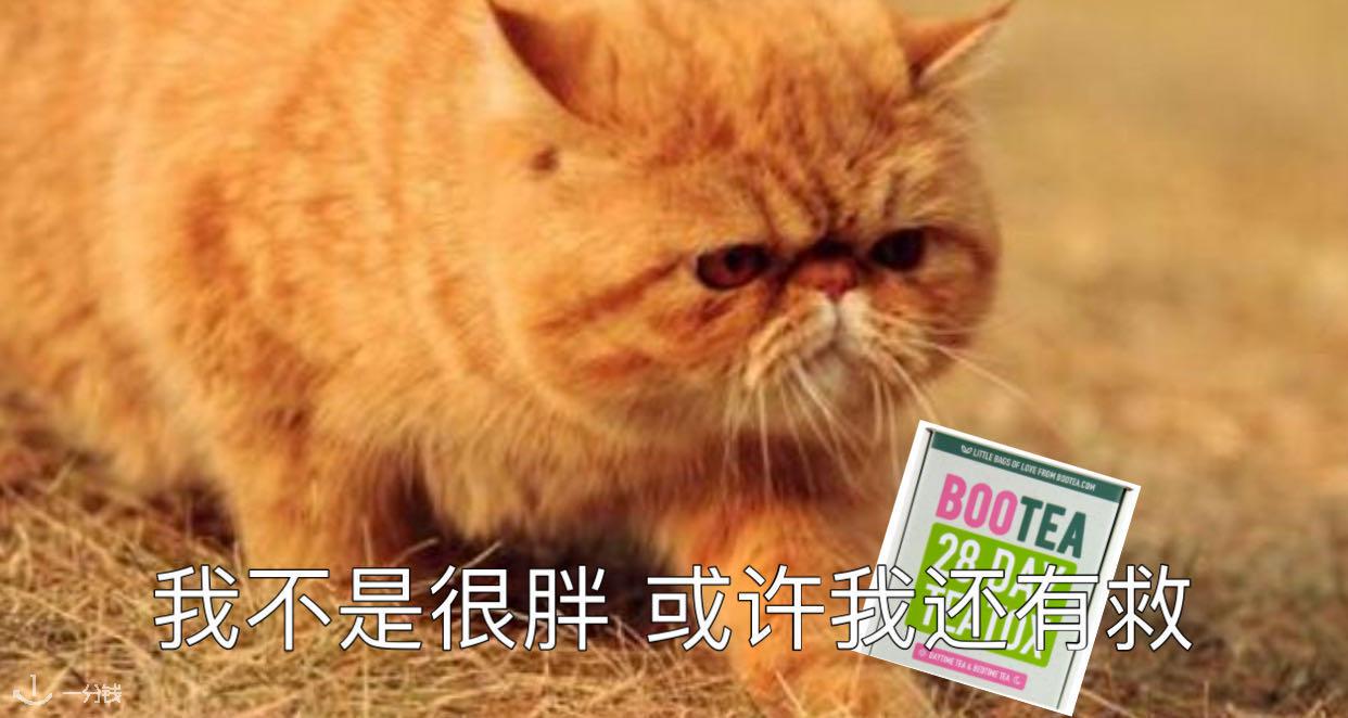 Holland&Barrett