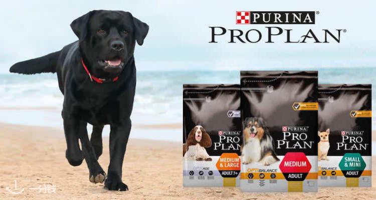 purina,低至6.6折
