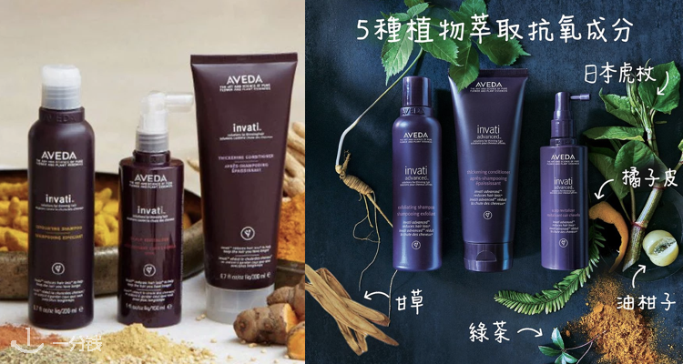 艾凡达 Aveda 折扣 优惠