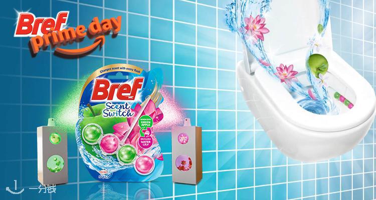 BREF WC Brilliant Gel Fraîcheur Polaire – Lot de 11 Blocs WC