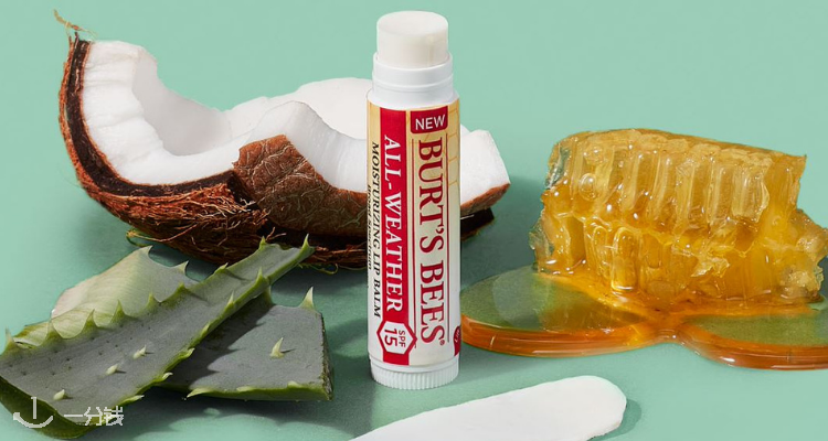 Burt's Bees