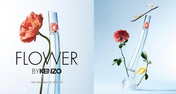 Kenzo 折扣 优惠