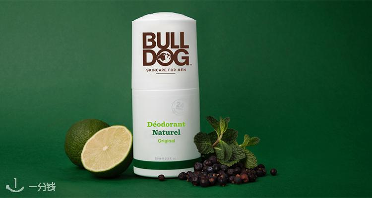斗牛犬 Bulldog 折扣 优惠