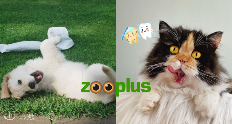 Zooplus