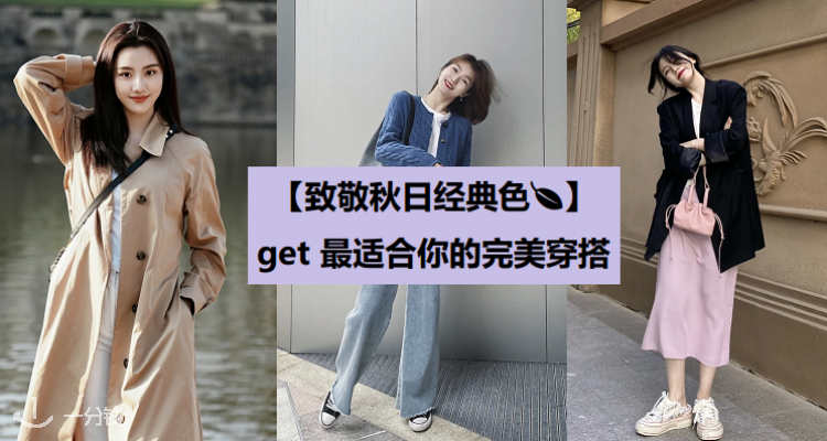 折扣 优惠