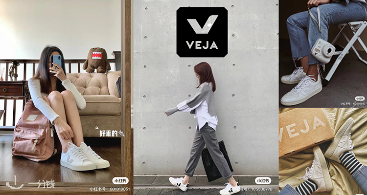 Veja 折扣 优惠