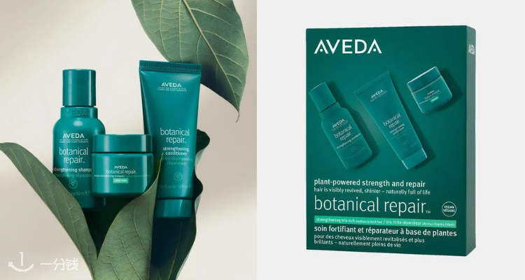艾凡达 Aveda 折扣 优惠