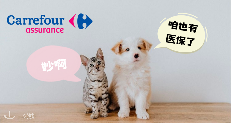 Carrefour Assurance