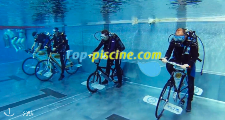 Top-piscine