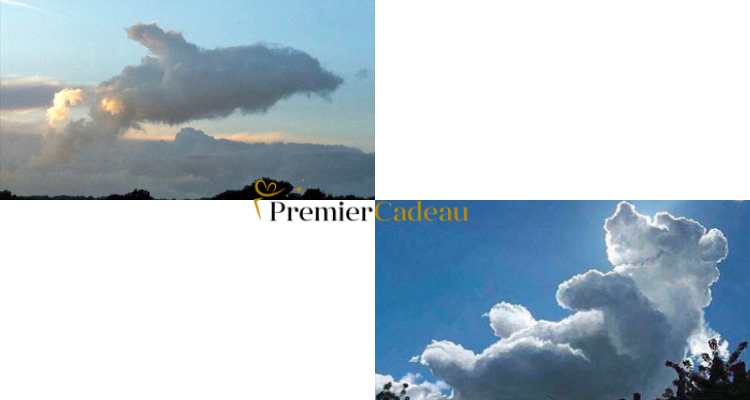 Premier Cadeau