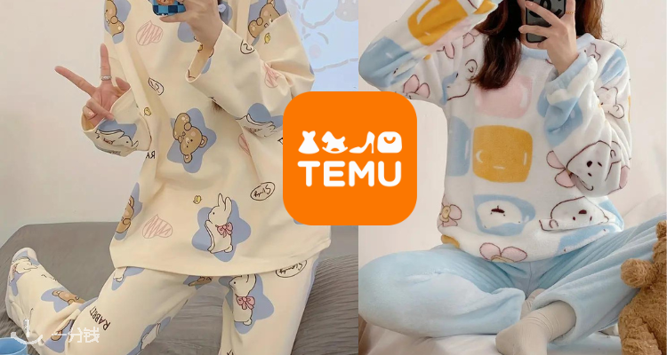 TEMU,低至4.1折