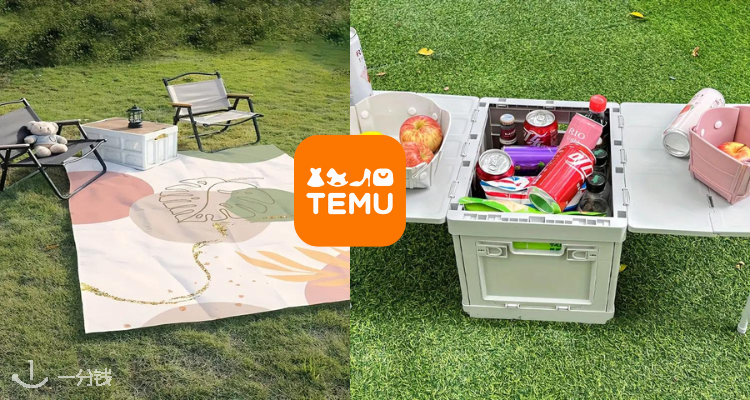TEMU,低至2.4折