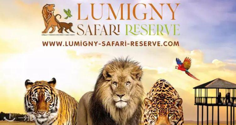 Groupon,低至8.1折