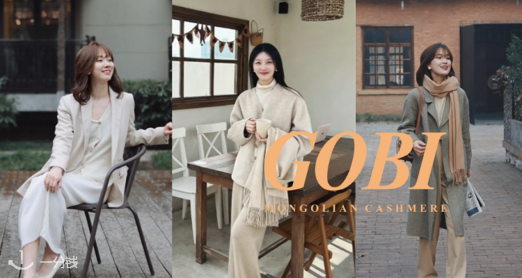 Gobi,6折