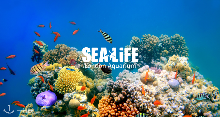Sea Life London,低至7.2折