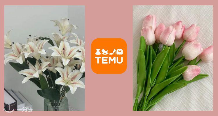 TEMU,低至2折