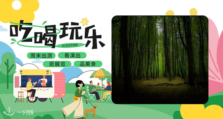 【吃喝玩乐】免费沉浸式自然体验🤩枫丹白露森林探秘之旅🌳国际森林日特别活动🚶‍♀️