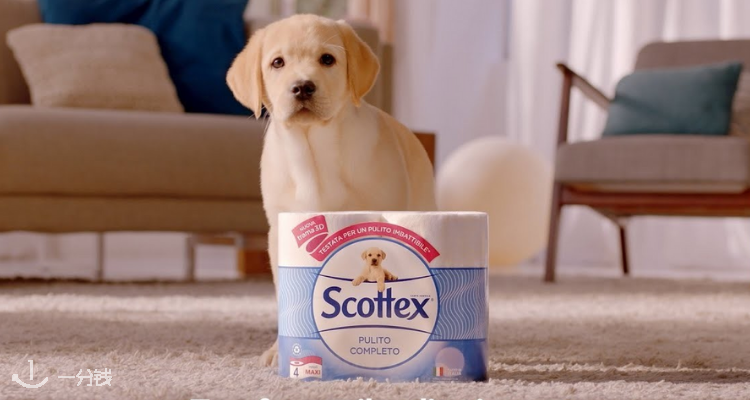 SCOTTEX
