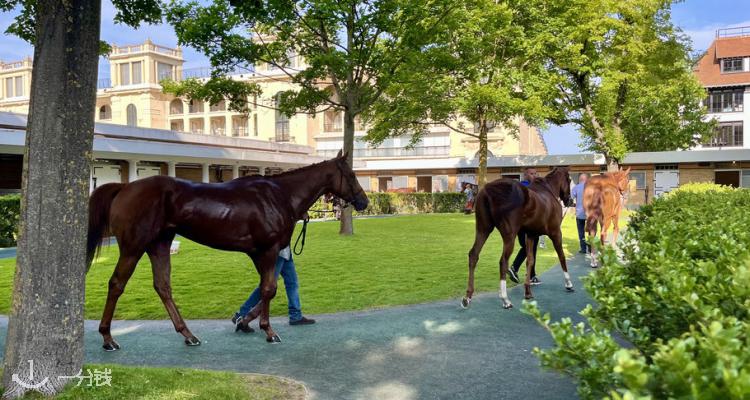 全家免费畅玩马术嘉年华，La grande fête du cheval à Vincennes，快来和萌马亲密互动吧！