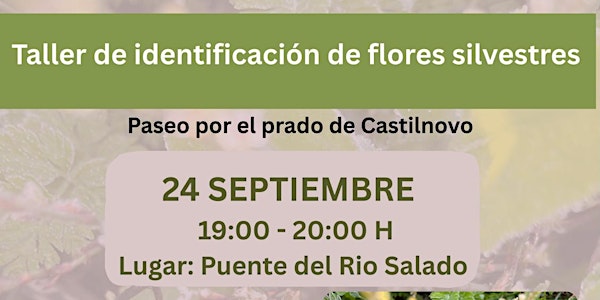 Taller de identificación de flores silvestres Conil de la Frontera来了！一起走进大自然，发现身边的野花世界吧！