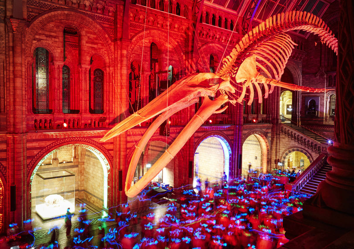 You can party beneath a huge blue whale skeleton at the Natural History Museum – here’s how to snap up a ticket to the most sought-after silent disco in London