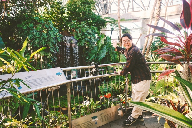 热带植物馆合集《梦之岛热带植物馆》：都市绿洲，体验热带生态的奇妙世界