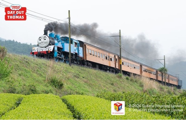 托马斯小火车主题蒸汽列车｜《DAY OUT WITH THOMAS 2026》：乘坐帕西号与托马斯号畅游静冈大井川
