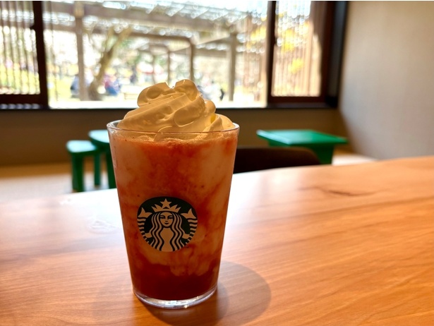 スターバックス コーヒー 京都円山公園 菊の渓店がオープン！名勝公園で味わう和モダンな珈琲茶屋