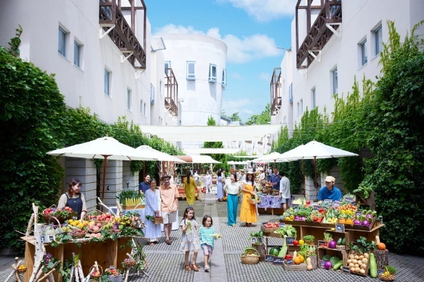 八岳市集2026来了！在高原清风中，邂逅被“颜值”耽误的美味蔬菜