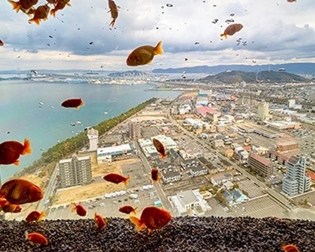 香川・ゴールドタワー「天空のアクアリウム ソラキン」來了！金魚與絕景交織的幻想空間，等你來體驗