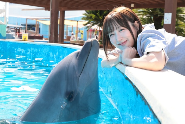 南知多ビーチランド ふれあいカーニバルが愛知にやってくる！SKE48メンバーも夢中になった動物ふれあい体験