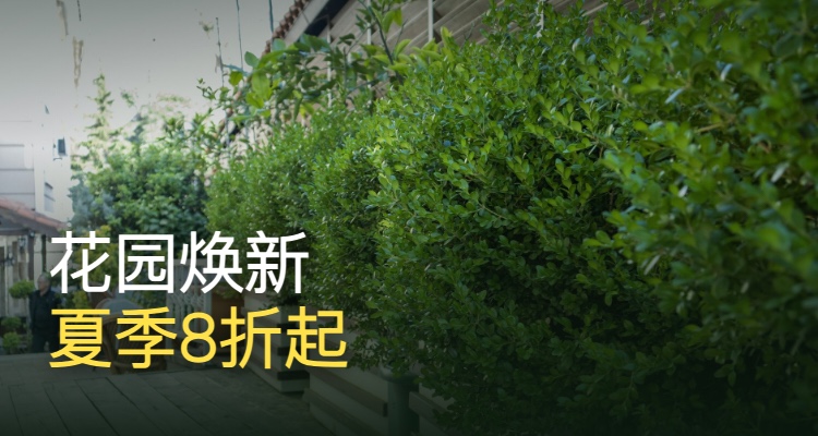 Art Garden,低至200折