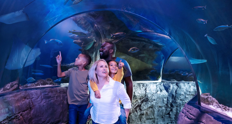 Sea Life London,低至7.8折