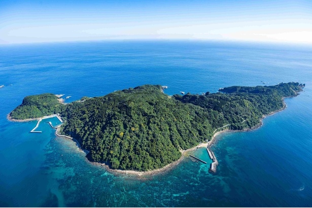 HINATA大島 宫崎开来了！在无人岛享受极致疗愈之旅