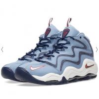 Nike air pippen